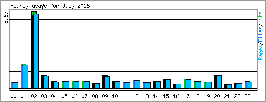 Hourly usage