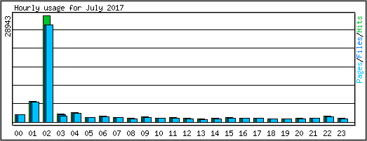 Hourly usage